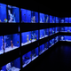 Saltwater tanks of fish for sale are shown at Dallas North Aquarium in Dallas, Texas earlier this year. (Benny Snyder/AP Photo)
